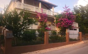 Apartment Ana